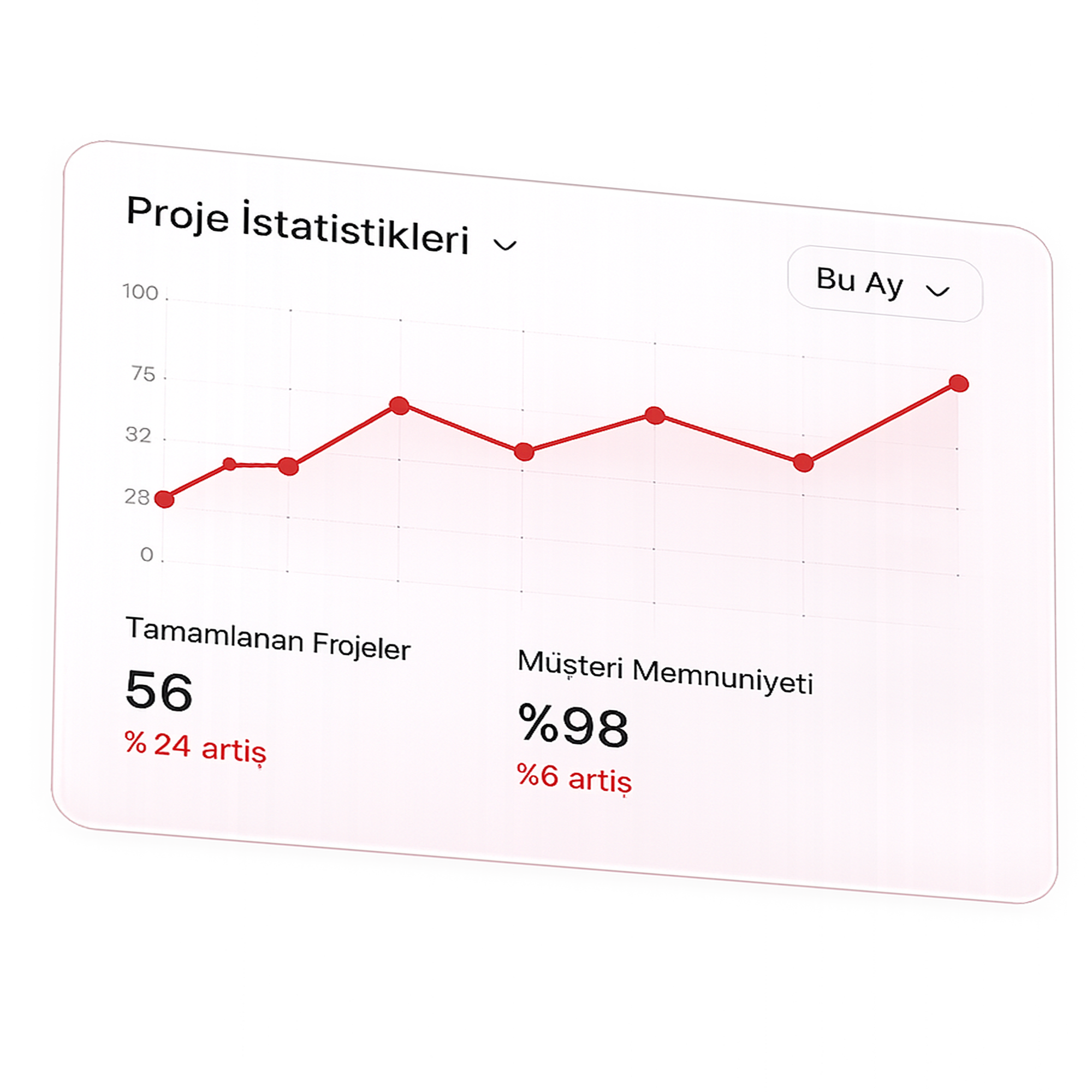 Proje istatistikleri kartı